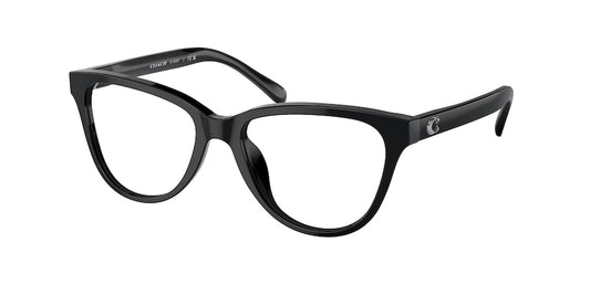 Coach HC6202F Round Eyeglasses  5002-BLACK 54-17-145 - Color Map black