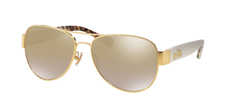 Coach sunglasses hc7059 top