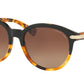 Coach L111 HC8140 Phantos Sunglasses  5438T5-BLACK TORTOISE/TORTOISE 55-18-135 - Color Map havana