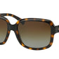 Coach HC8141 Square Sunglasses