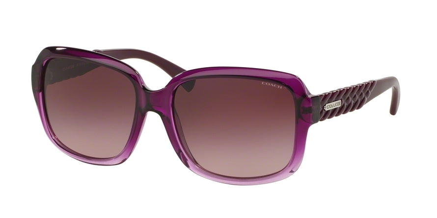 Coach HC8141 Square Sunglasses
