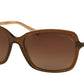 Coach L136 HC8152 Square Sunglasses