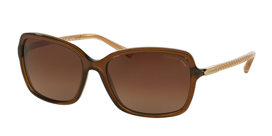 Coach L136 HC8152 Square Sunglasses