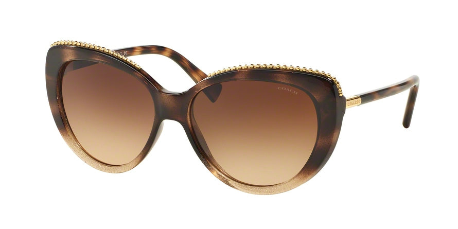 Coach L137 HC8157 Cat Eye Sunglasses
