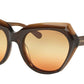 Coach L1615 HC8193 Cat Eye Sunglasses