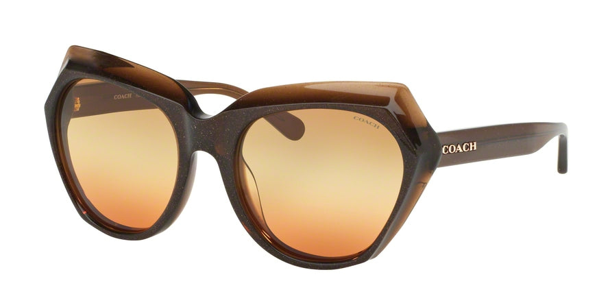 Coach L1615 HC8193 Cat Eye Sunglasses