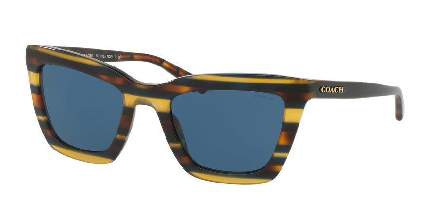 Coach HC8203F Square Sunglasses