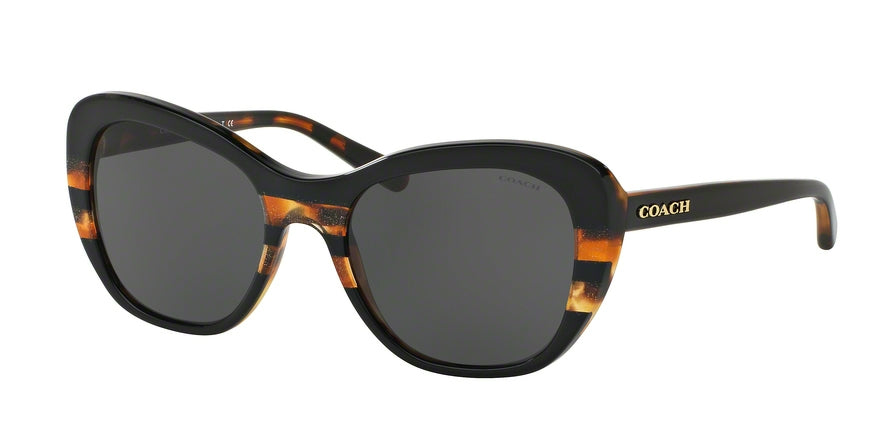 Coach HC8204F Cat Eye Sunglasses  544380-BLACK TORT GLTR VARSITY STRIPE 54-19-140 - Color Map multi