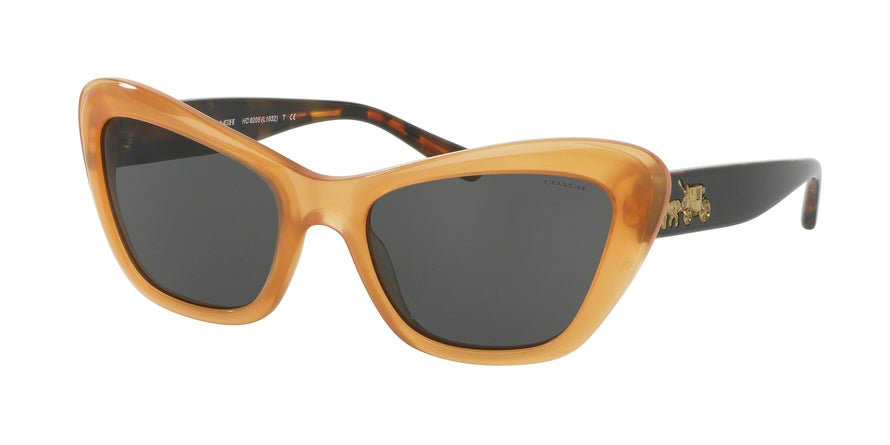 Coach L1632 HC8205 Cat Eye Sunglasses  544680-AMBER/ BLACK TORTOISE 56-19-140 - Color Map orange