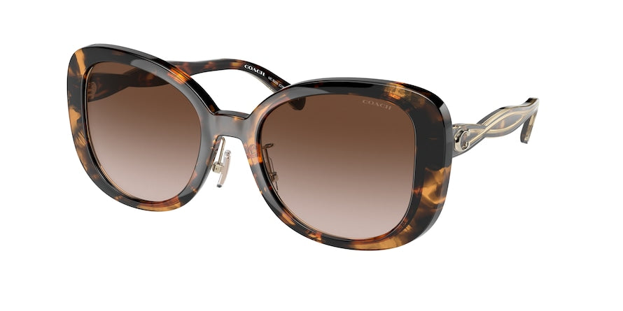Coach C7995 HC8333 Square Sunglasses  512013-DARK TORTOISE 53-20-140 - Color Map havana