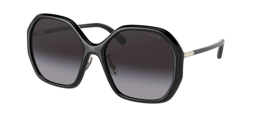 Coach C9204 HC8343 Irregular Sunglasses  50028G-BLACK 57-18-145 - Color Map black