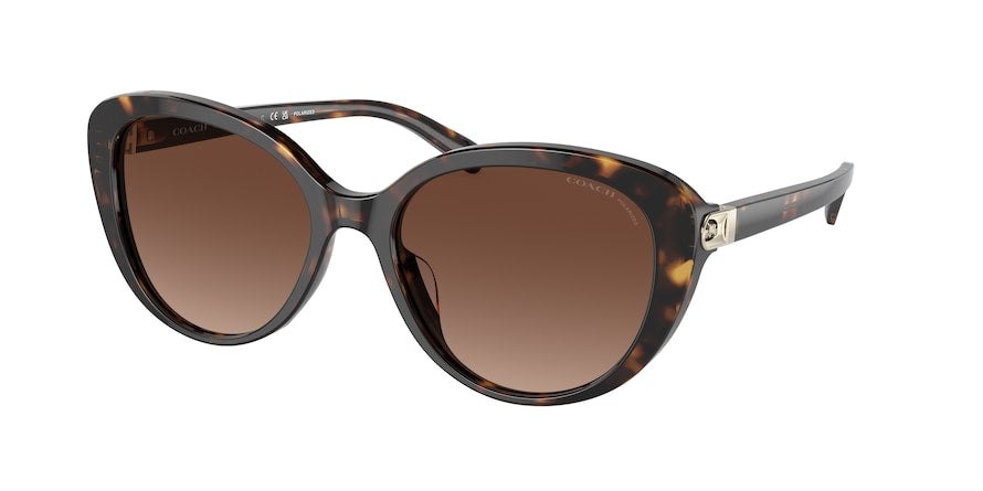 Coach sunglasses cat sales eye