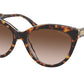 Michael Kors MAKENA MK2158 Cat Eye Sunglasses  310213-DARK TORTOISE/CLEAR 55-18-140 - Color Map havana