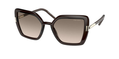 Prada PR09WS Butterfly Sunglasses  05M3D0-CRYSTAL DARK BROWN 54-20-140 - Color Map light brown