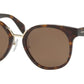 Prada CATWALK PR17TS Square Sunglasses  2AU8C1-HAVANA 53-20-140 - Color Map havana