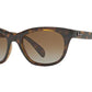 Ray-Ban RB4216 Square Sunglasses