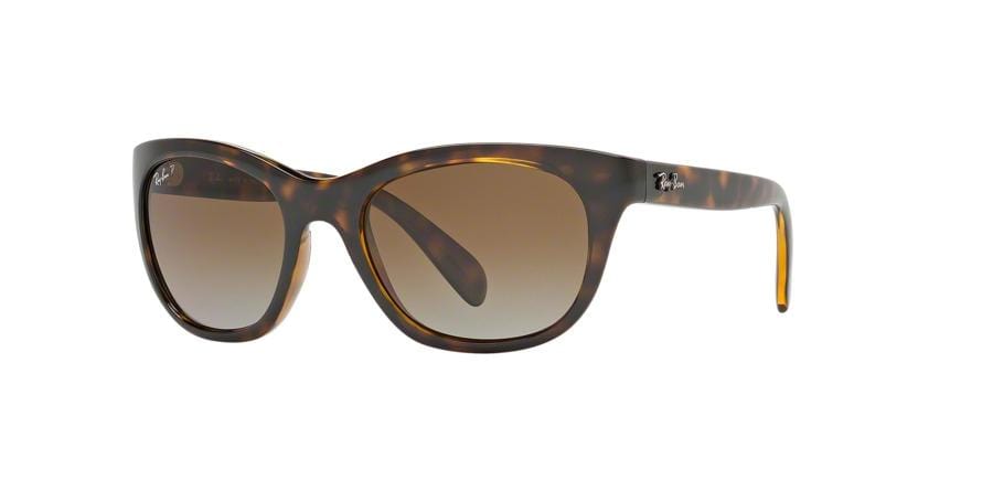 Ray-Ban RB4216 Square Sunglasses