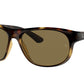 Ray-Ban RB4351 Pillow Sunglasses  710/73-HAVANA 59-17-140 - Color Map havana
