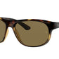 Ray-Ban RB4351 Pillow Sunglasses - Lensntrends