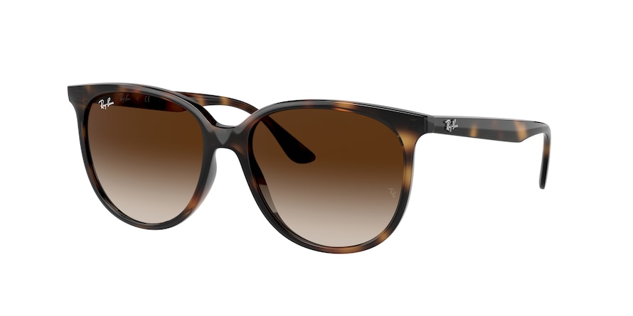Ray-Ban RB4378F Square Sunglasses  710/13-HAVANA 54-16-145 - Color Map havana