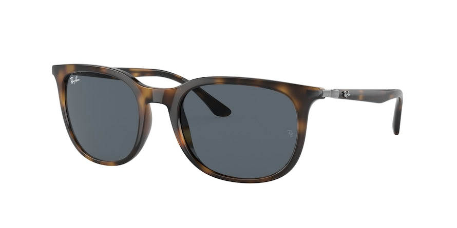 Ray-Ban RB4386 Pillow Sunglasses  710/R5-HAVANA 54-20-140 - Color Map havana