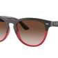 Ray-Ban IRIS RB4471 Phantos Sunglasses  663113-GREY ON TRANSPARENT RED 54-18-145 - Color Map grey