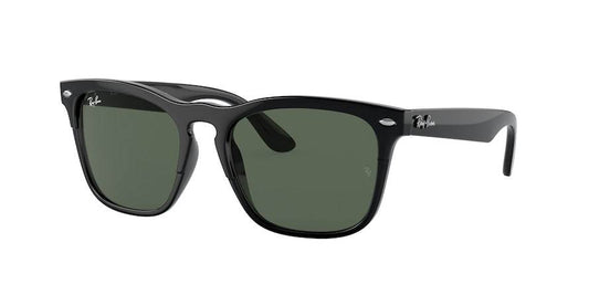 Ray-Ban STEVE RB4487 Square Sunglasses  662971-BLACK 54-18-145 - Color Map black