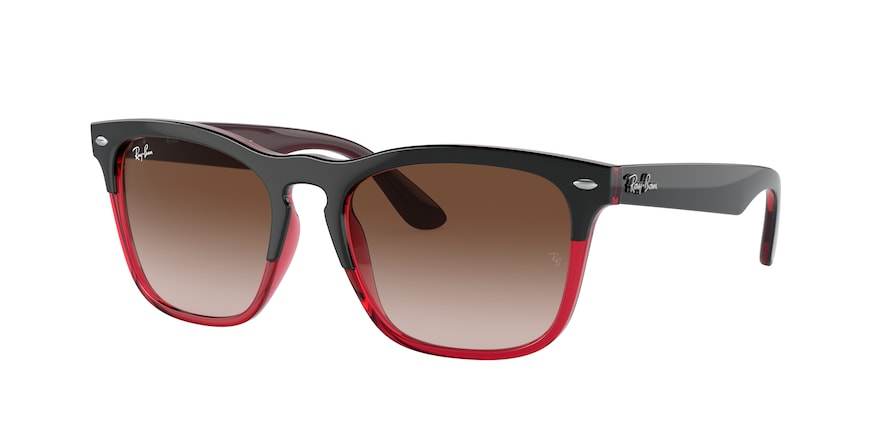 Ray-Ban STEVE RB4487 Square Sunglasses  663113-GREY ON TRANSPARENT RED 54-18-145 - Color Map grey