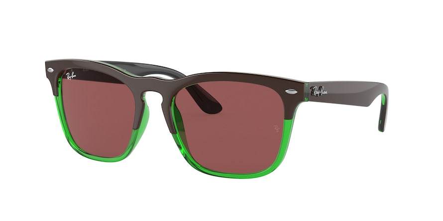 Ray-Ban STEVE RB4487 Square Sunglasses - Lensntrends