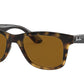 Ray-Ban RB4640 Square Sunglasses  710/33-LIGHT HAVANA 50-20-150 - Color Map havana