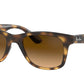 Ray-Ban RB4640 Square Sunglasses  710/M2-LIGHT HAVANA 50-20-150 - Color Map havana