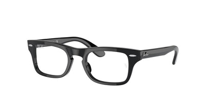 Ray-Ban Junior Vista JUNIOR BURBANK RY9083V Rectangle Eyeglasses  3542-BLACK 43-19-130 - Color Map black