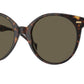 Versace VE4442F Phantos Sunglasses  108/3-Havana 55-140-20 - Color Map Tortoise