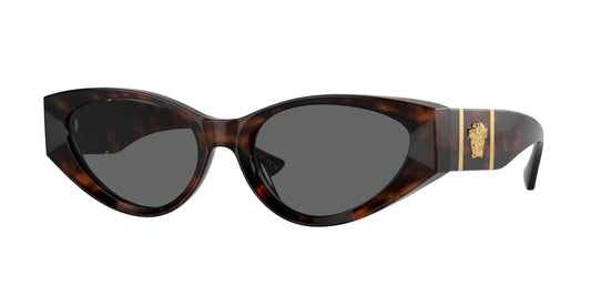 Versace VE4454 Cat Eye Sunglasses  542987-Havana 55-140-18 - Color Map Tortoise