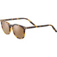 Serengeti Arlie Sunglasses  Shiny Classic Havana Medium