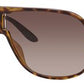 CA New Safari Aviator Sunglasses 0KME-Havana Brown (Back Order 2 weeks)