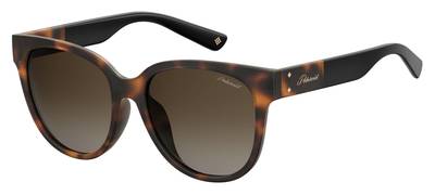  Pld 4071/F/S/X Square Sunglasses 0086-Dark Havana (Back Order 2 weeks)
