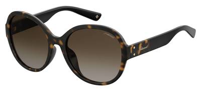  Pld 4073/F/S Oval Modified Sunglasses 0086-Dark Havana (Back Order 2 weeks)