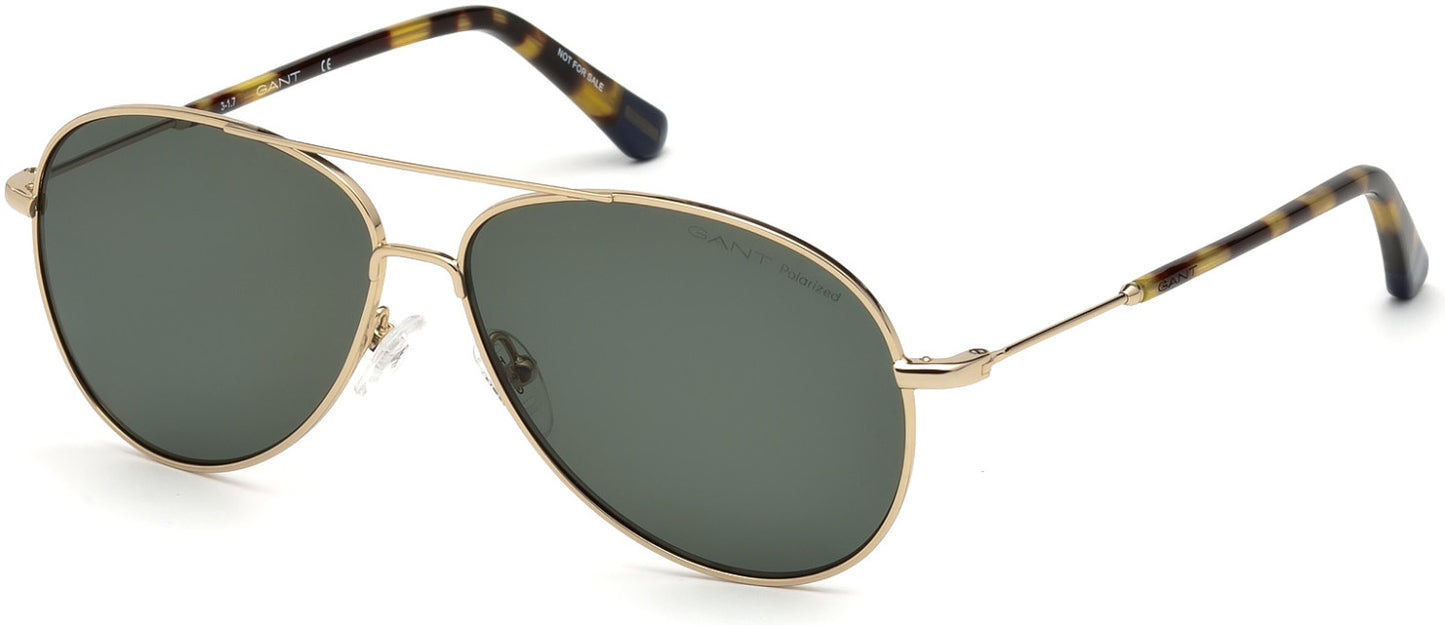 Gant GA7097 Pilot Sunglasses 32R-32R - Shiny Gold Front, Tokyo Tortoise Temples, Polarized Green Lens - Back Order until 