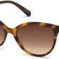 Swarovski SK0147 Cat Sunglasses 52G-52G - Dark Havana / Brown Mirror Lenses